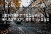 读推特时遇到群体标签化别困惑：我来从语言角度讲，推特如何设置标签