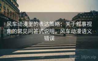 风车动漫里的表达策略：关于叙事视角的常见问答式说明，风车动漫语义错误