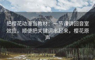 把樱花动漫当教材：一节课讲回音室效应，顺便把关键词串起来，樱花原声